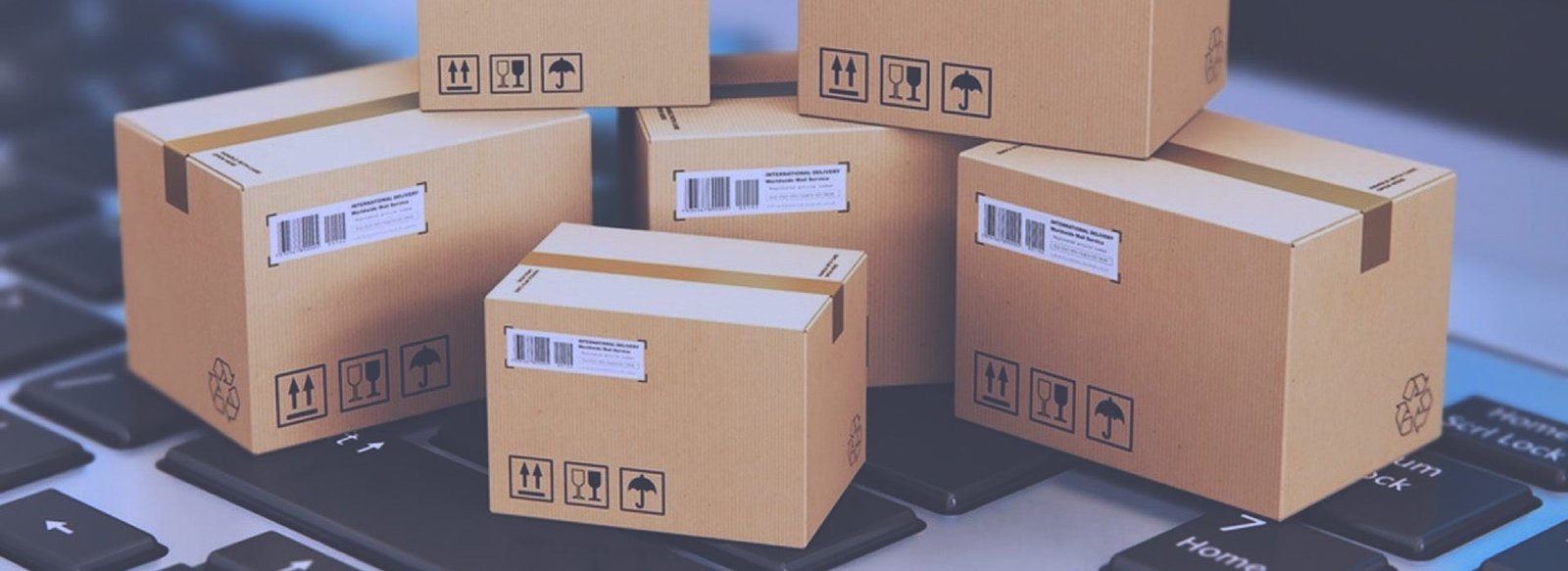 1848Transport de petits colis Oran Tunis